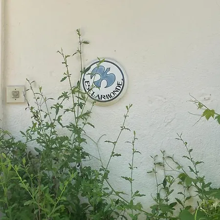 Esclarmonde 18 Guest house Cascastel-des-Corbieres